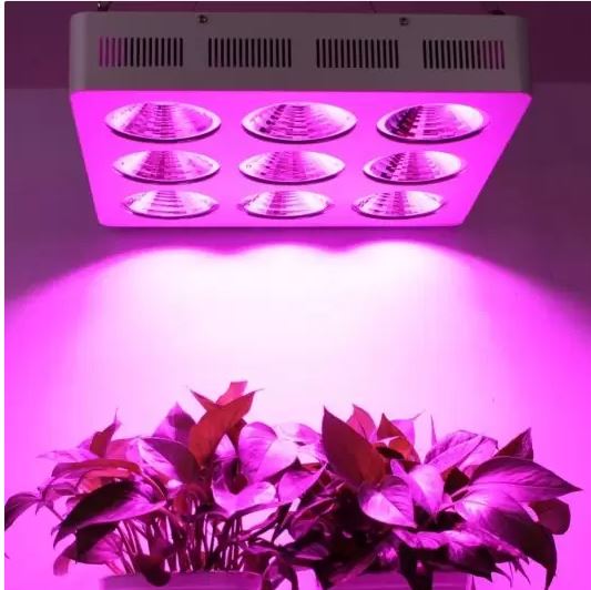 led aydinlatma
